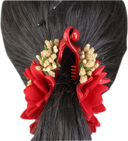 Banana Clips , Buy Banana Clips online at Best Prices in
